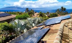 Professional island solar panel cleanings